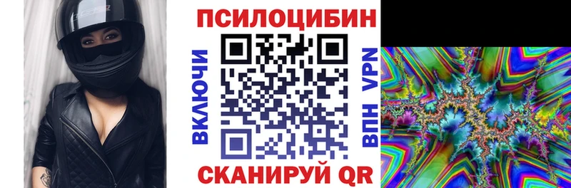 Псилоцибиновые грибы прущие грибы  Сортавала 